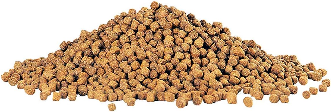 Aqueon Cichlid Medium Pellets Size: 7.5 Ounce