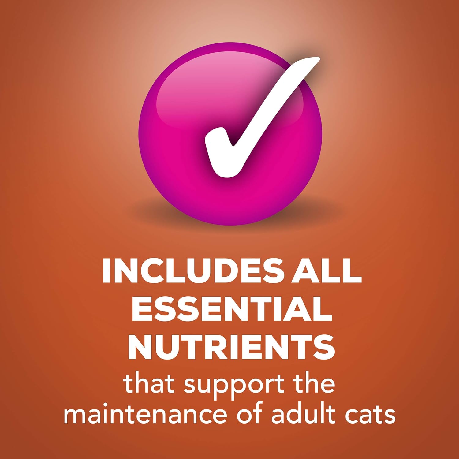 Purina Friskies Gravy Wet Cat Food 5.5 oz