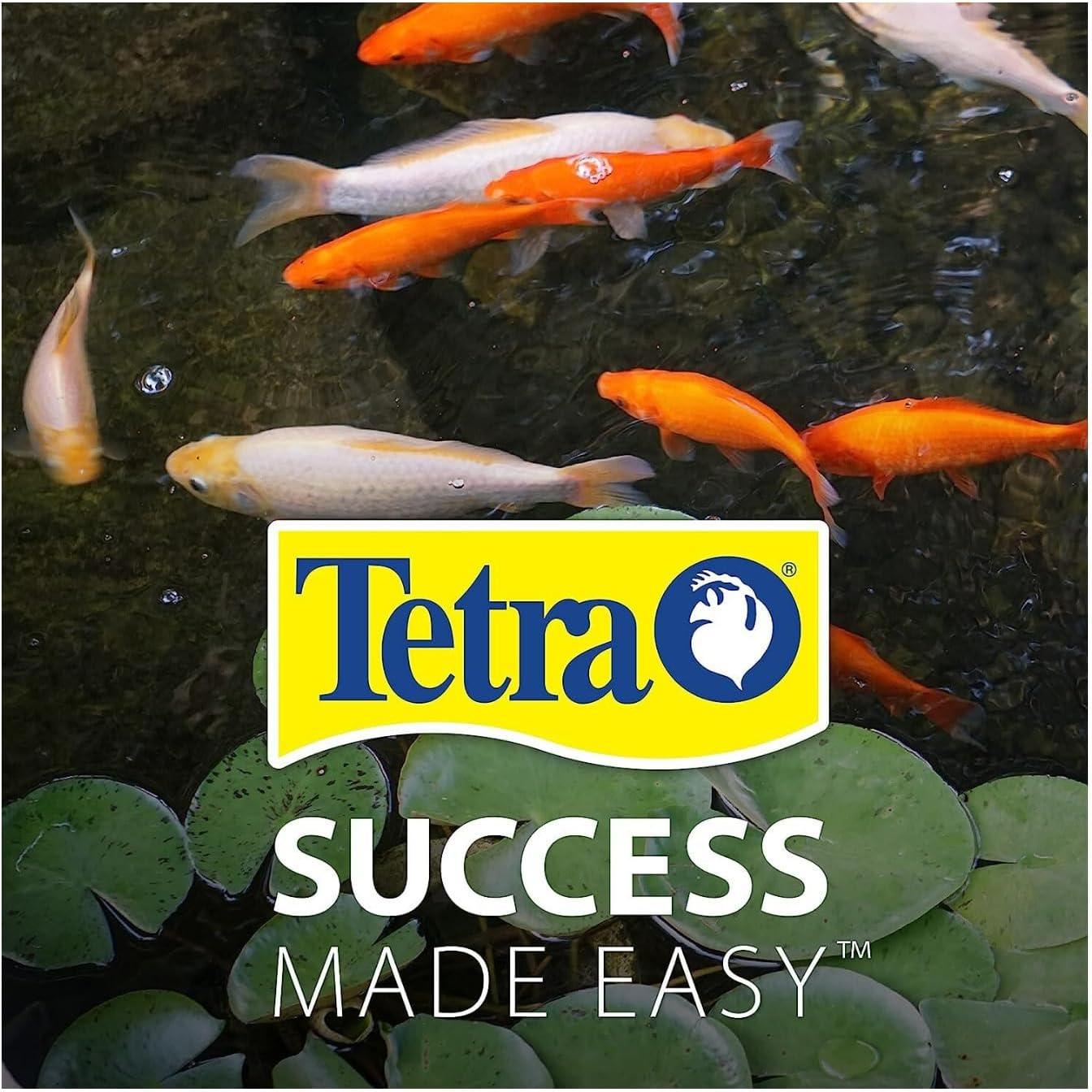 Tetra Pond Flakes Complete Nutrition for Smaller Pond Fish, Goldfish and Koi Fish, 6.35 oz