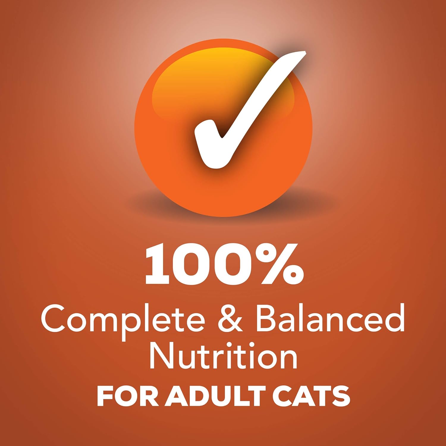 Purina Friskies Gravy Wet Cat Food 5.5 oz