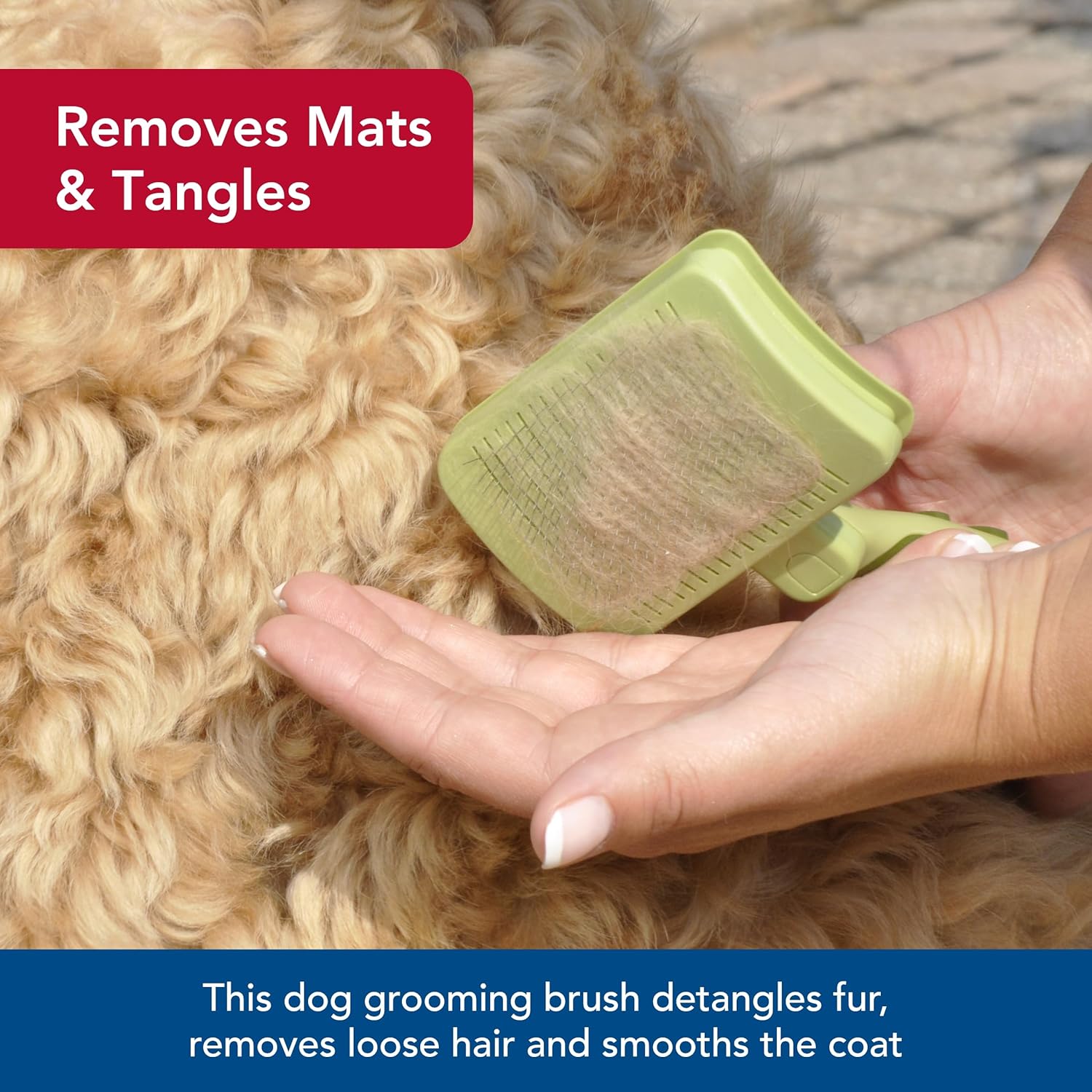 Coastal Pet Safari Dog Self-Cleaning Slicker Brush Large 8" x 4.5"