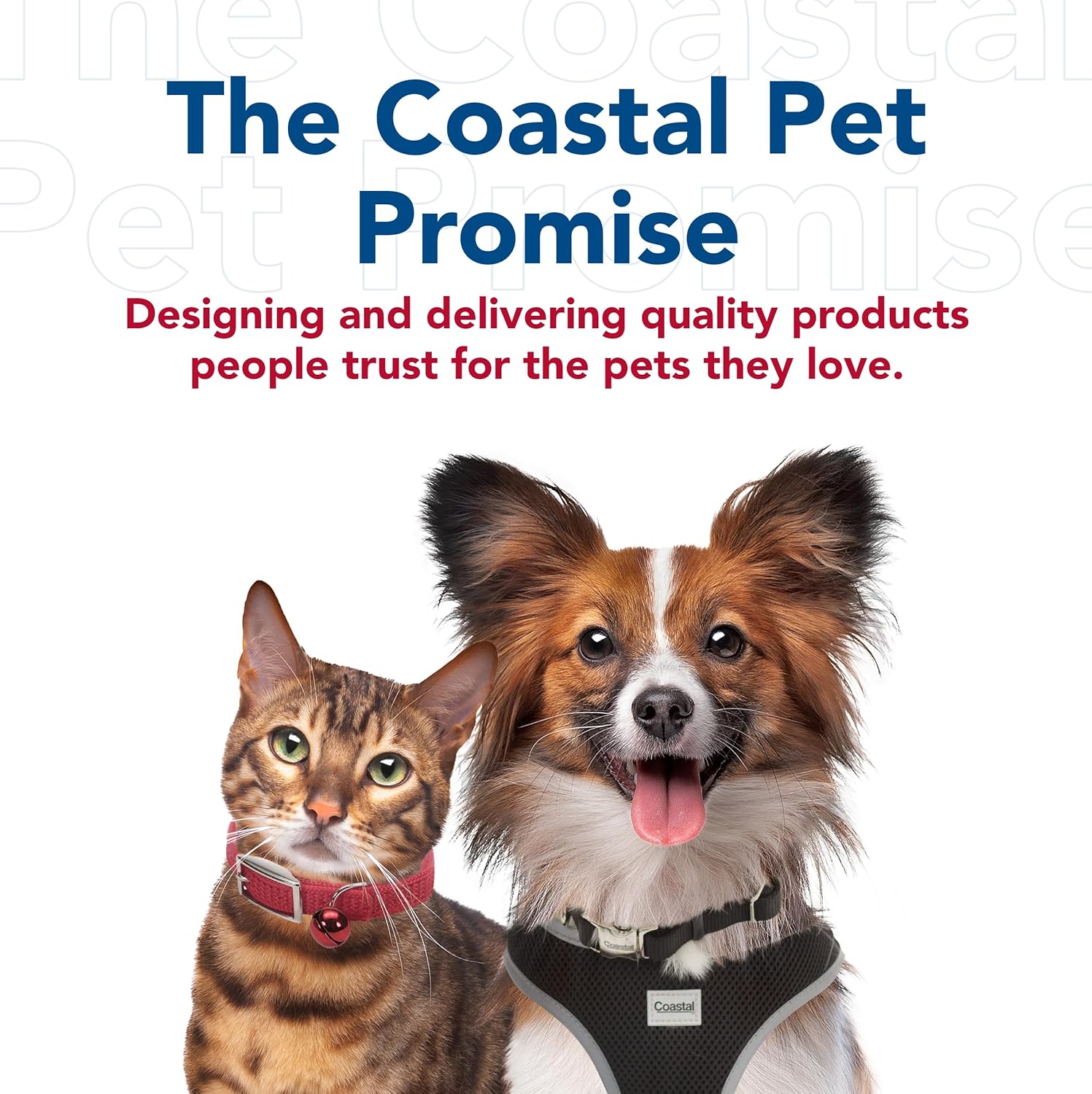 Coastal Pet Safari Dog Self-Cleaning Slicker Brush Large 8" x 4.5"