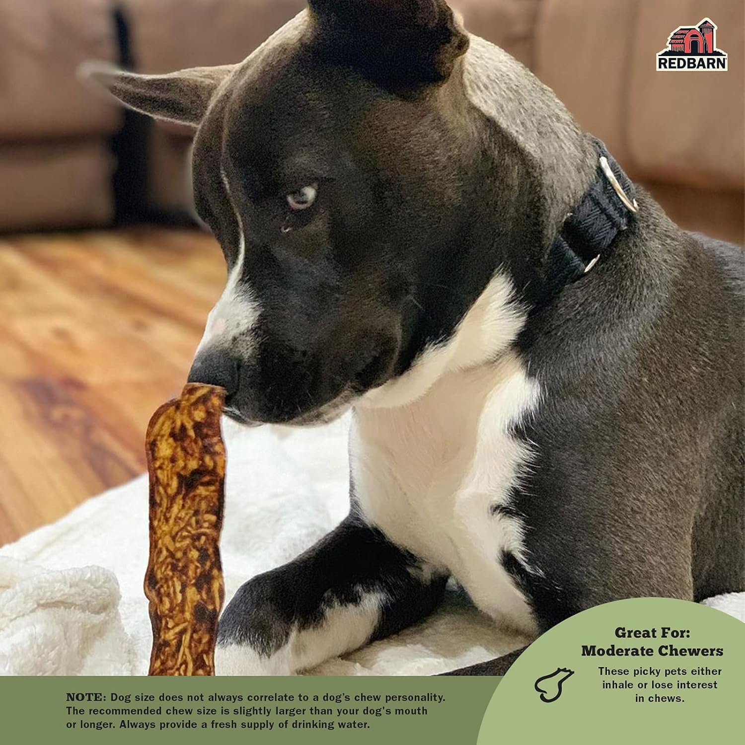 Redbarn Bully Slices for Dogs, Highly Palatable, Long-Lasting Natural Dental Treats with Functional Ingredients, 9 oz. - Peanut Butter