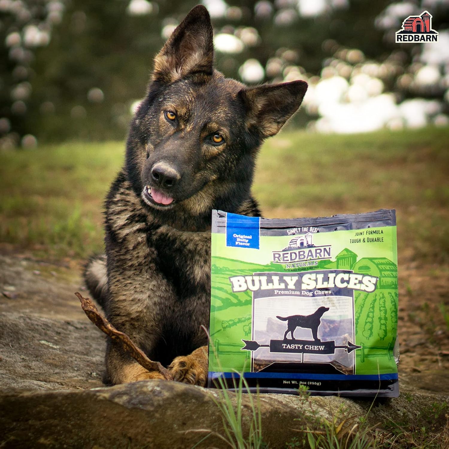 Redbarn Bully Slices for Dogs, Highly Palatable, Long-Lasting Natural Dental Treats with Functional Ingredients, 9 oz. - Peanut Butter