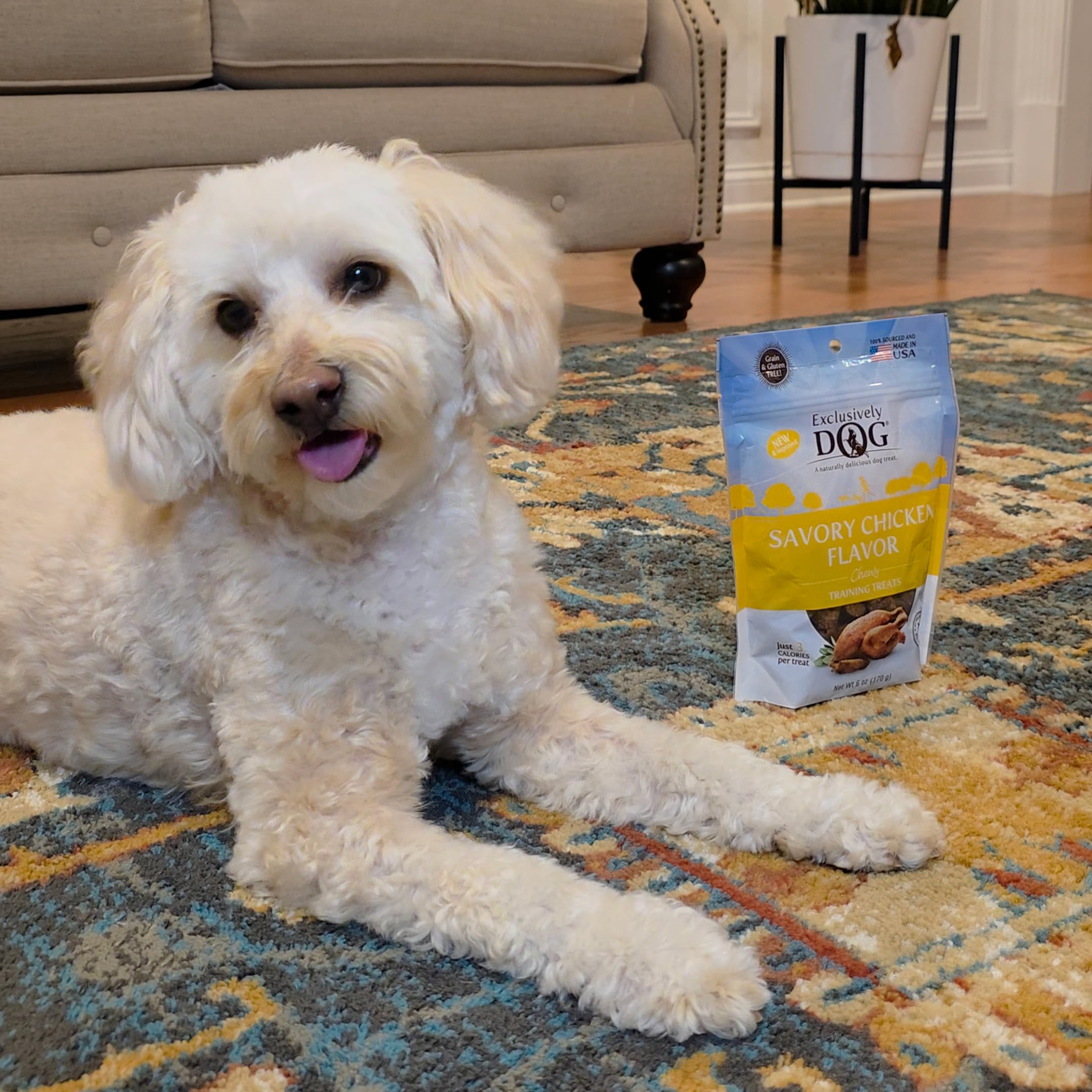 Exclusively Dog Chewy Training Treats Bacon Apple Flavor Grain Free Gluten Free 6 oz.