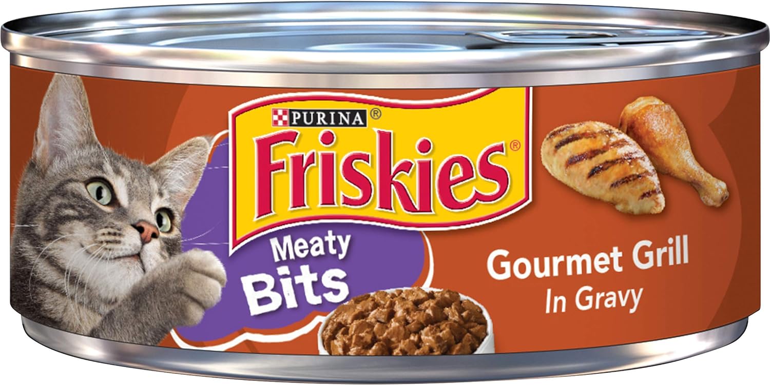 Purina Friskies Gravy Wet Cat Food 5.5 oz