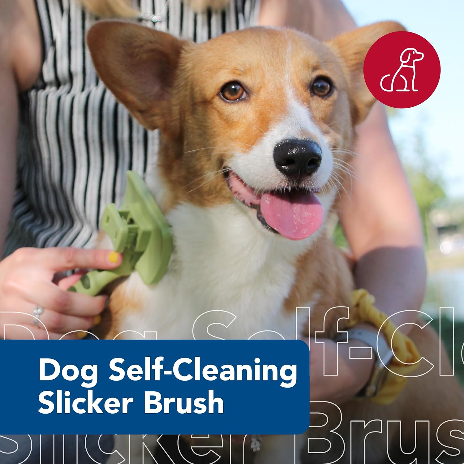 Coastal Pet Safari Dog Self-Cleaning Slicker Brush Large 8" x 4.5"