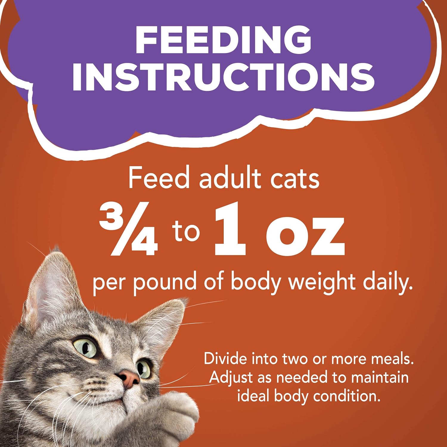 Purina Friskies Gravy Wet Cat Food 5.5 oz