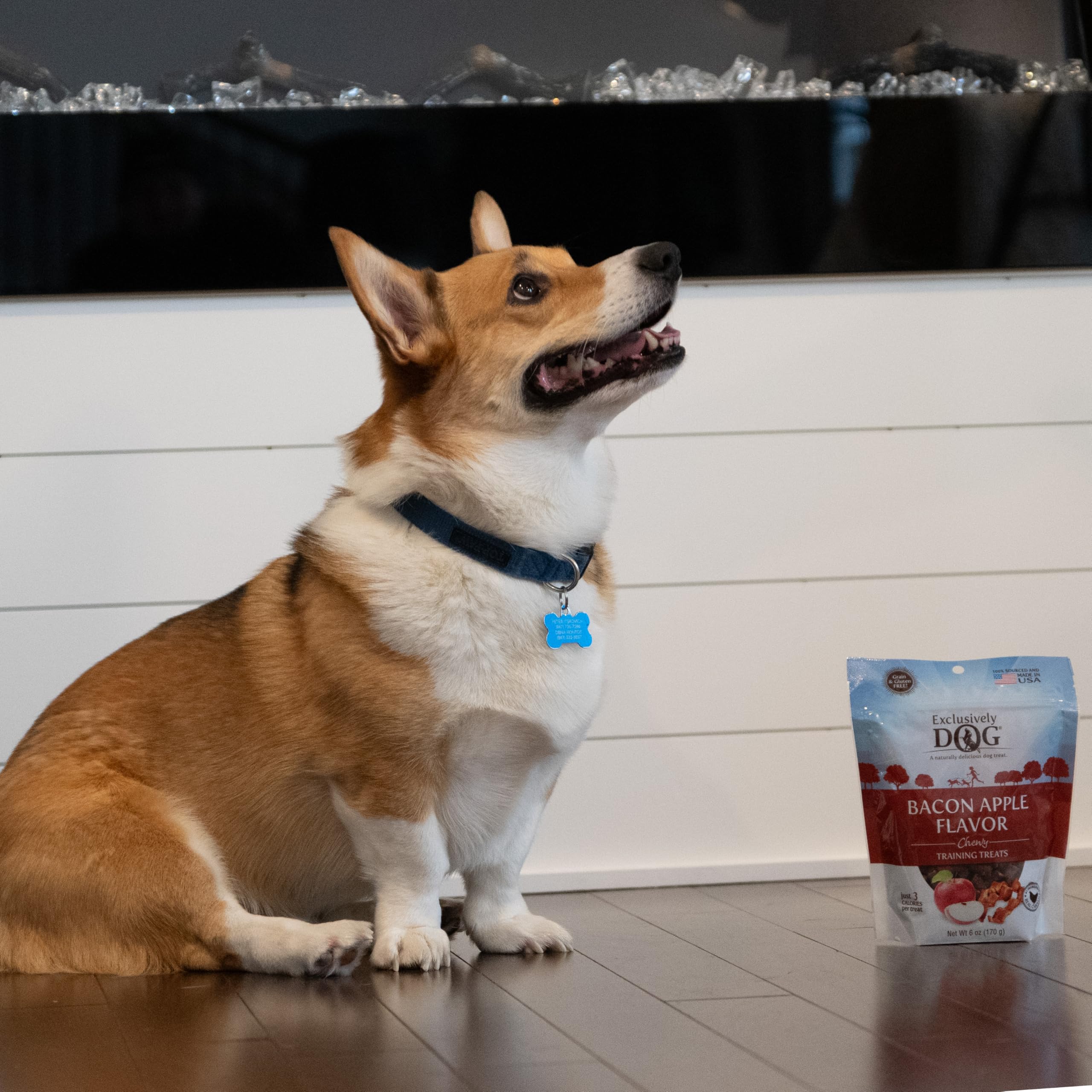 Exclusively Dog Chewy Training Treats Bacon Apple Flavor Grain Free Gluten Free 6 oz.
