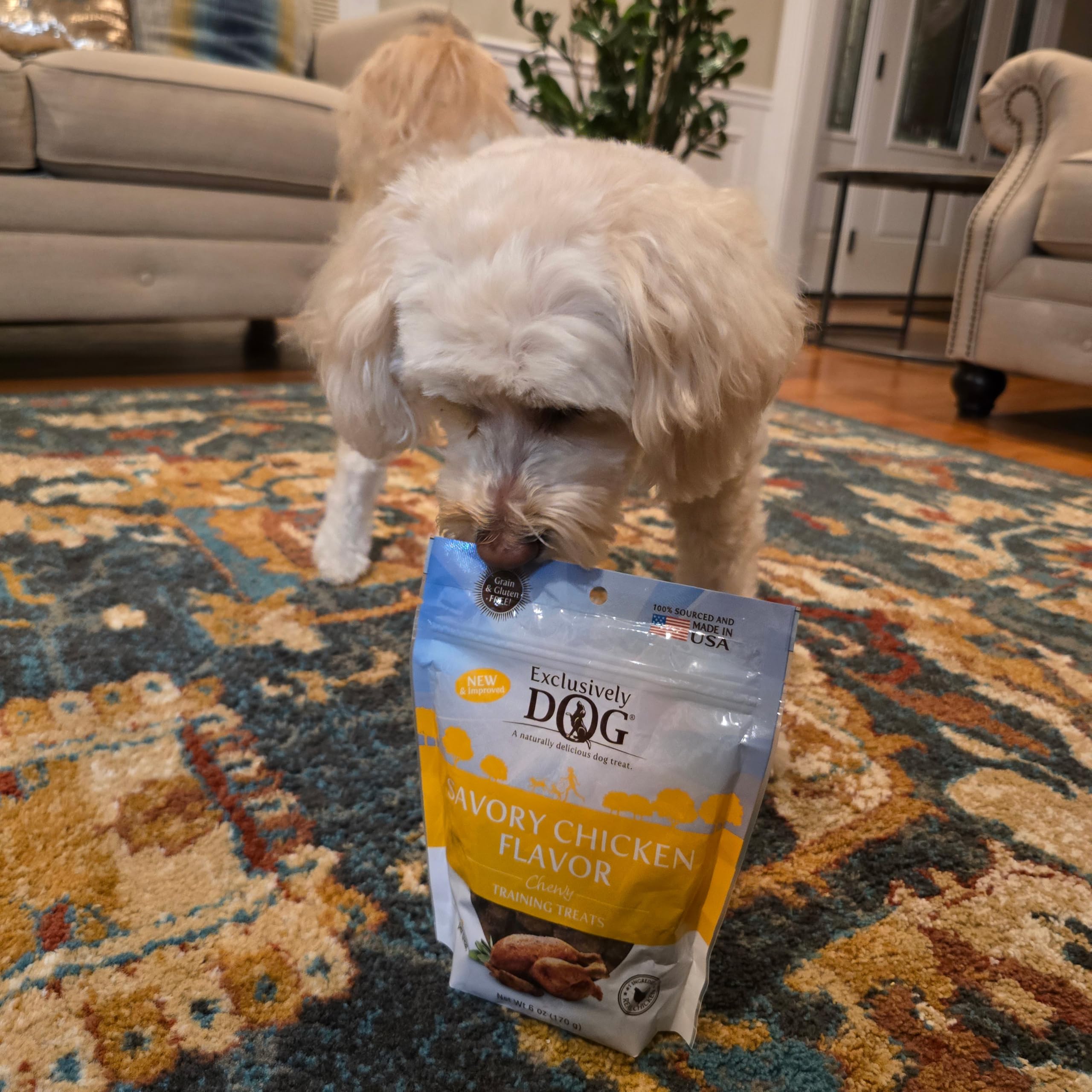 Exclusively Dog Chewy Training Treats Bacon Apple Flavor Grain Free Gluten Free 6 oz.