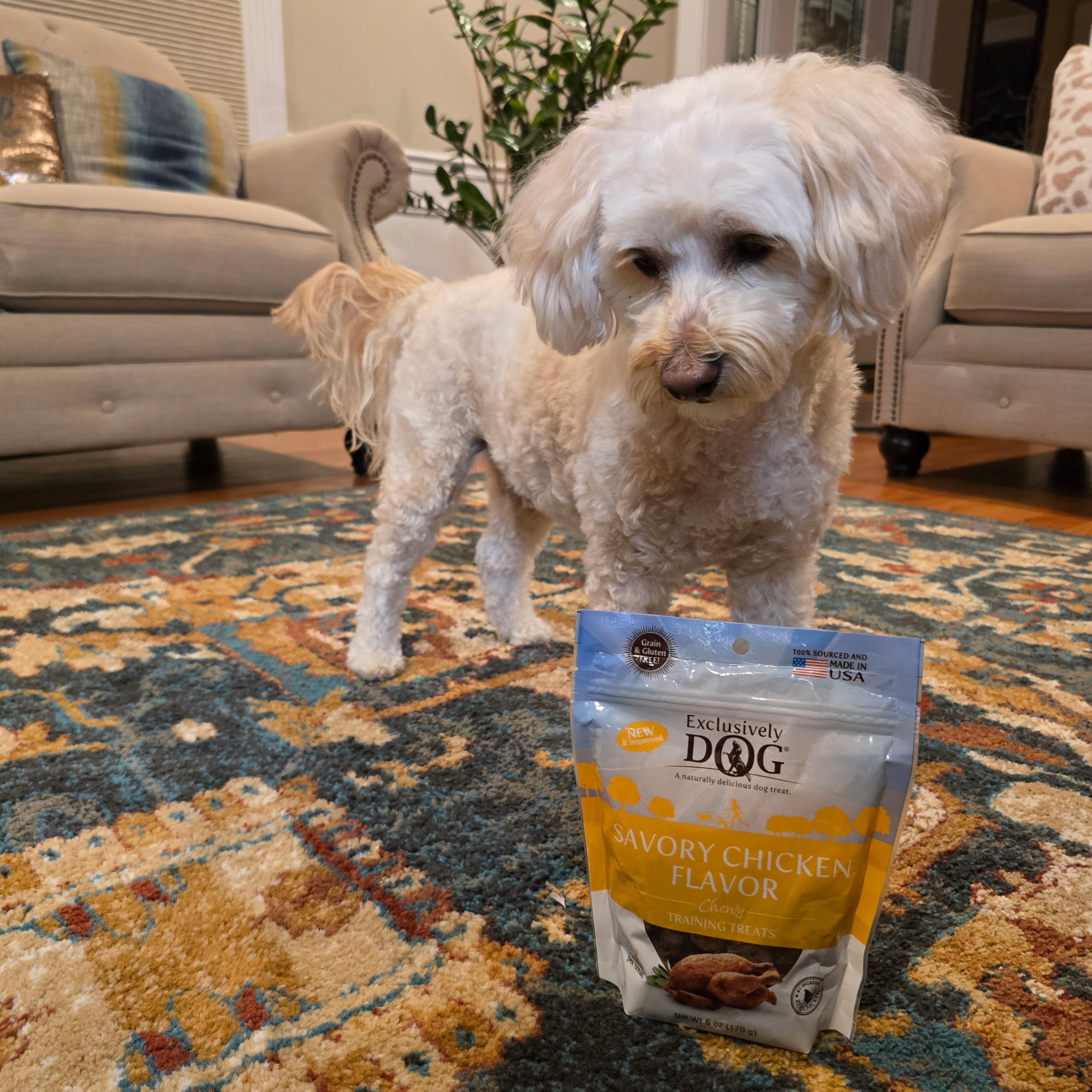 Exclusively Dog Chewy Training Treats Bacon Apple Flavor Grain Free Gluten Free 6 oz.