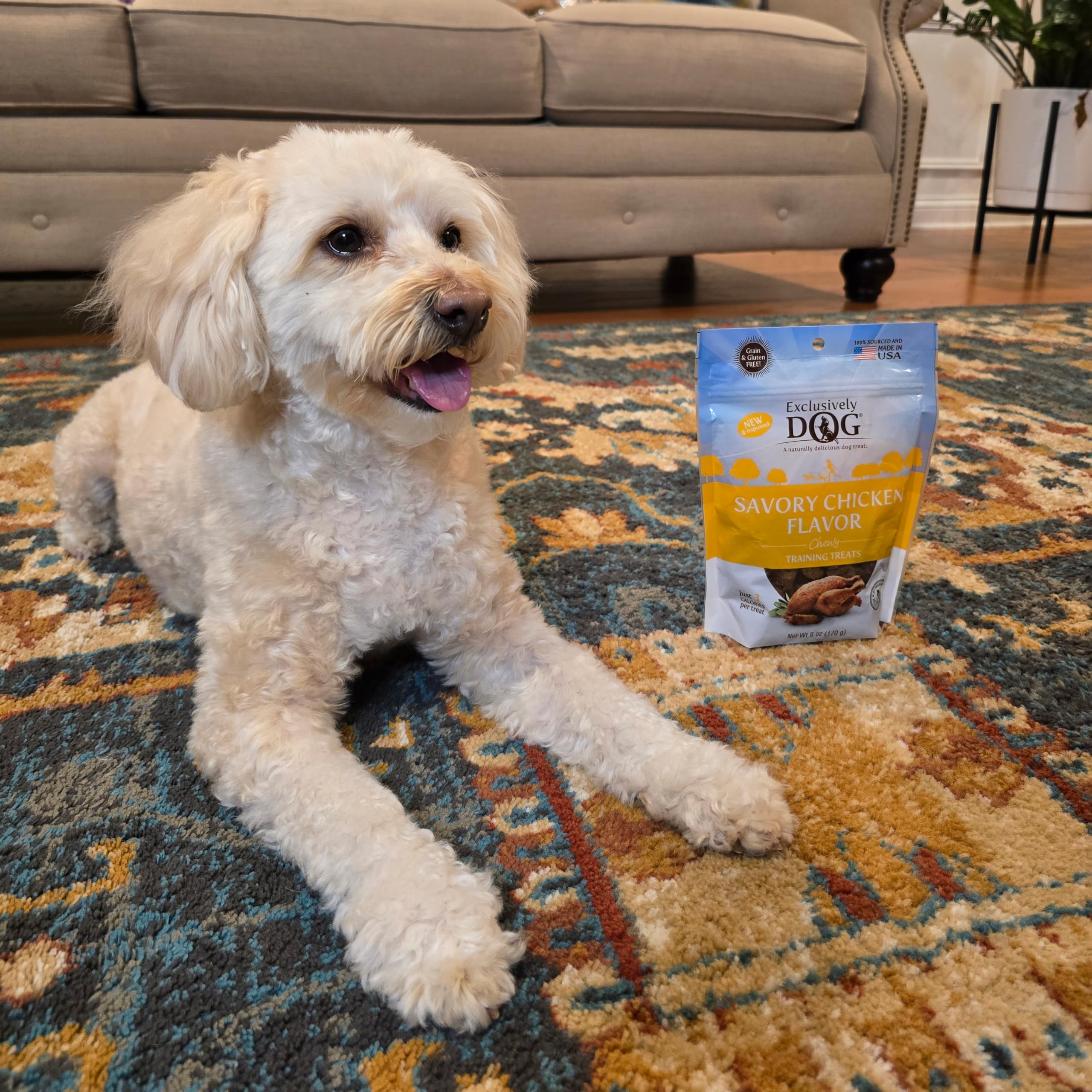 Exclusively Dog Chewy Training Treats Bacon Apple Flavor Grain Free Gluten Free 6 oz.
