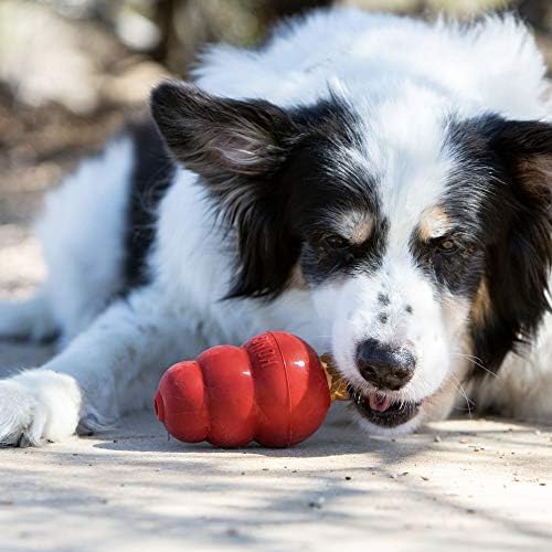 KONG - Snacks - All Natural Dog Treats - Liver Biscuits - Small (Best Used Classic Rubber Toys)