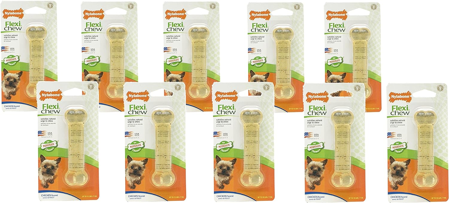Nylabone Chicken Flavored Bone Dog Chew Toy