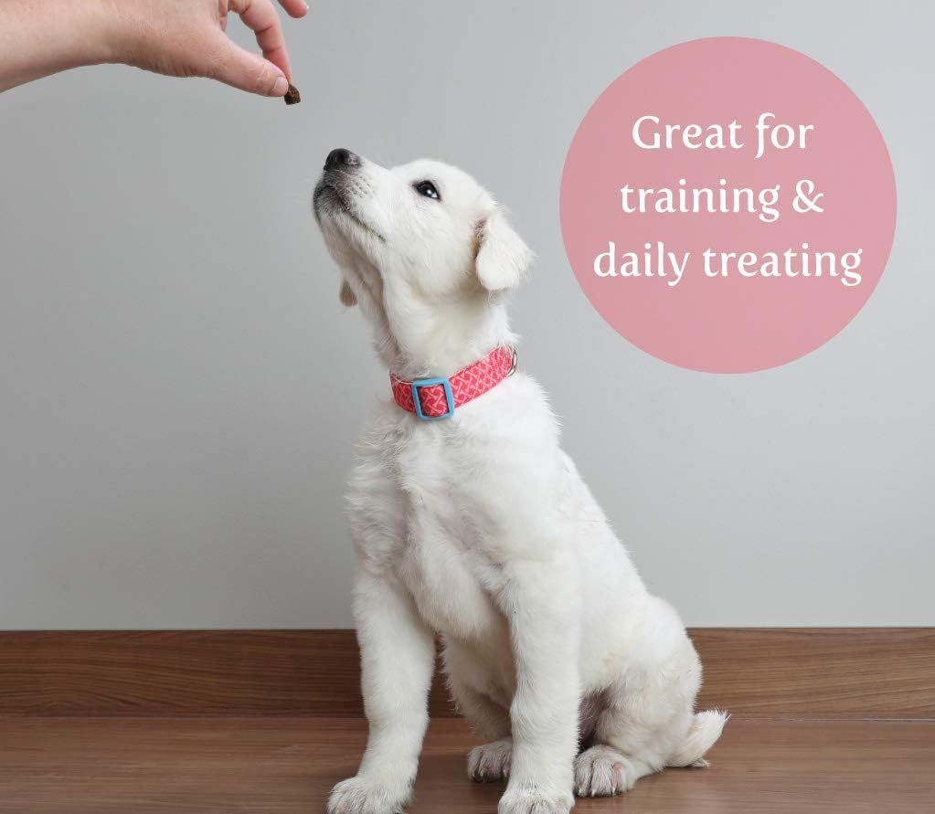 Exclusively Dog Chewy Training Treats Bacon Apple Flavor Grain Free Gluten Free 6 oz.