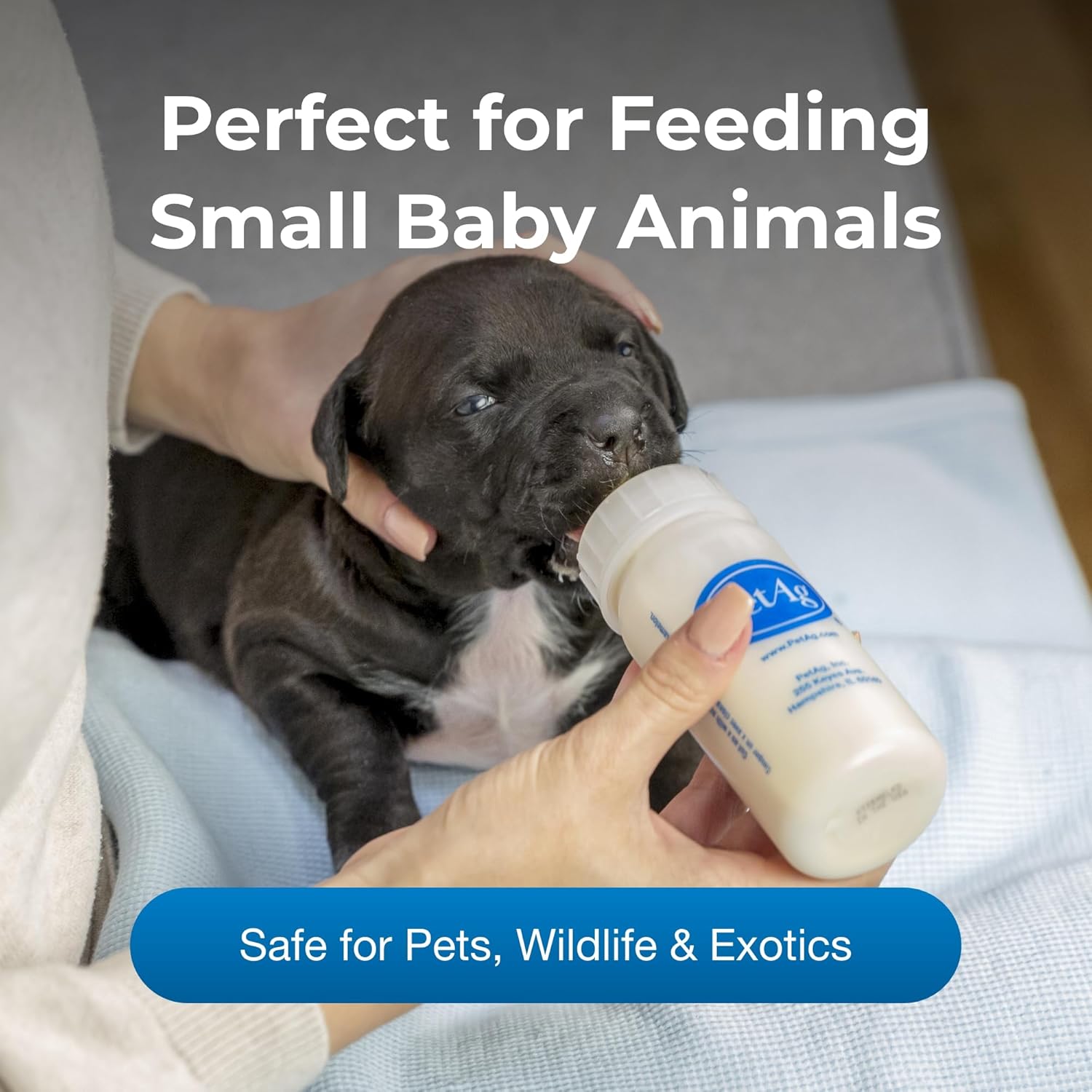 Pet-Ag Nurser Bottle - 2 oz