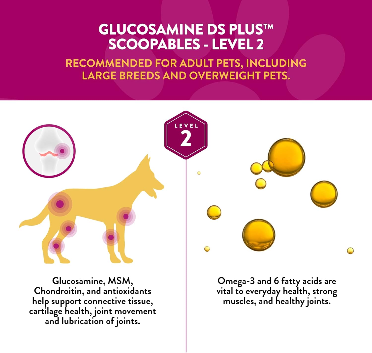 NaturVet Scoopables Dog Joint Supplement - Glucosamine DS Plus Level 2 Moderate Hip & Joint Care for Dogs w/Chondroitin & MSM - Hickory Smoked Bacon Flavored Pet Health Supplements | 11oz Bag