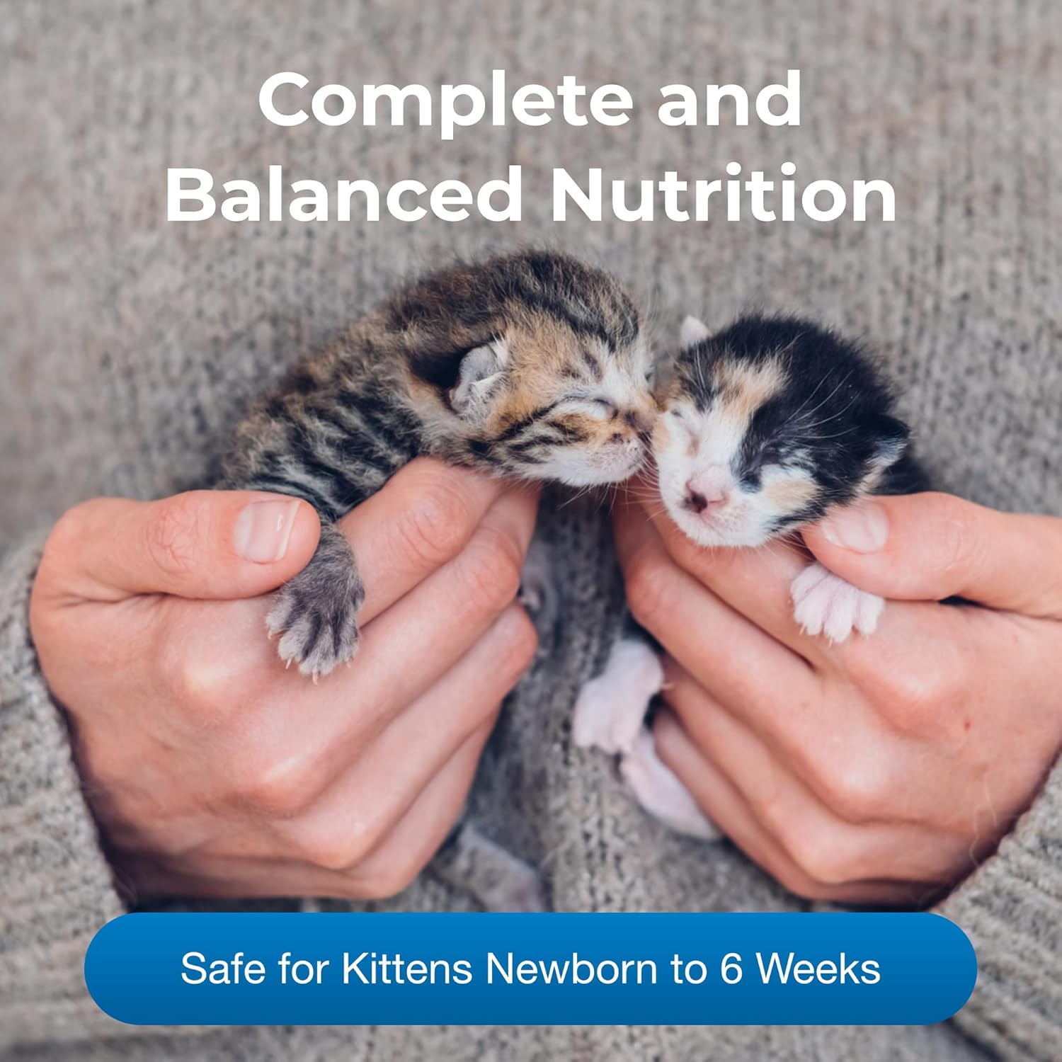 Pet-Ag PetLac Powder for Kittens - 10.5 oz Kitten Milk Replacement Powder for Kittens