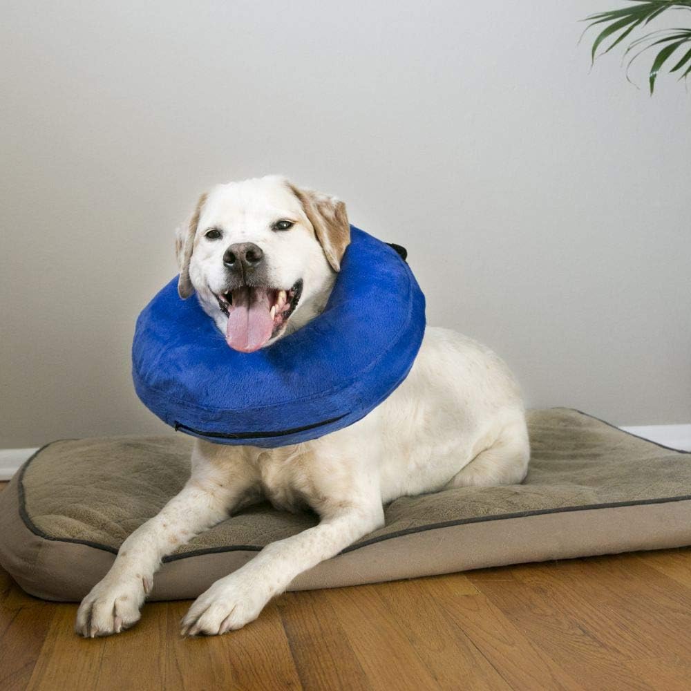 KONG - Cloud Collar - Inflatable Collar - For Injuries, Rashes and Post Surgery Recovery - For Large Dogs