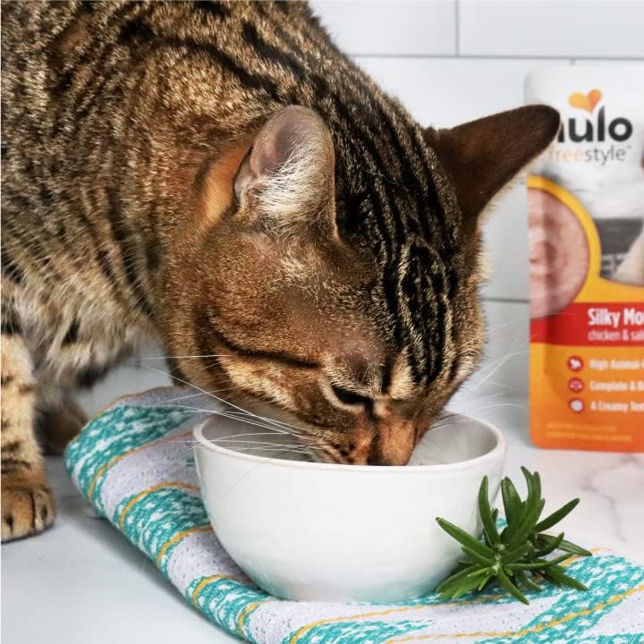 Nulo Freestyle Wet Cat Food 24 Pack Mousse, Smooth as Silk Texture with High Animal-Based Protein for Complete and Balanced Nutrition Your Kitten to Senior Cat Will Crave