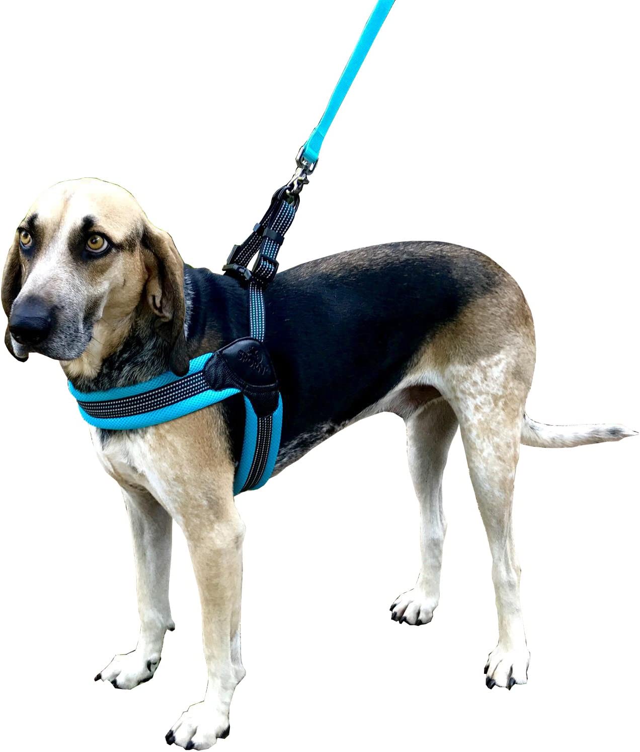 Sporn Easy Fit Dog Harness, Mesh, Blue, Medium (SPUS20066) Medium Blue