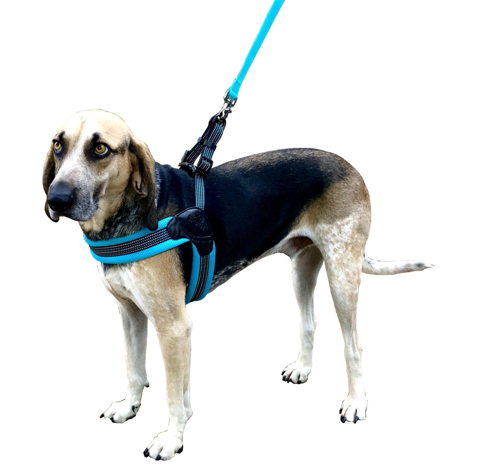 Sporn Easy Fit Dog Harness, Mesh, Blue, Medium (SPUS20066) Medium Blue