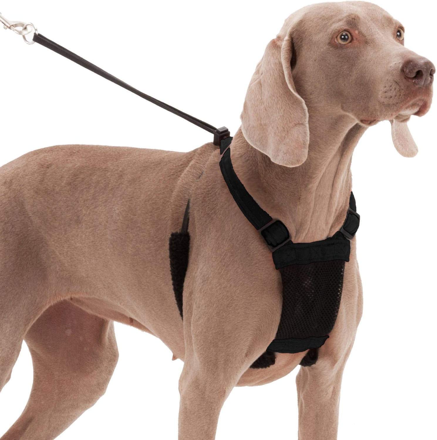 SPORN No Pull Dog Harness, Black, Small Small Black