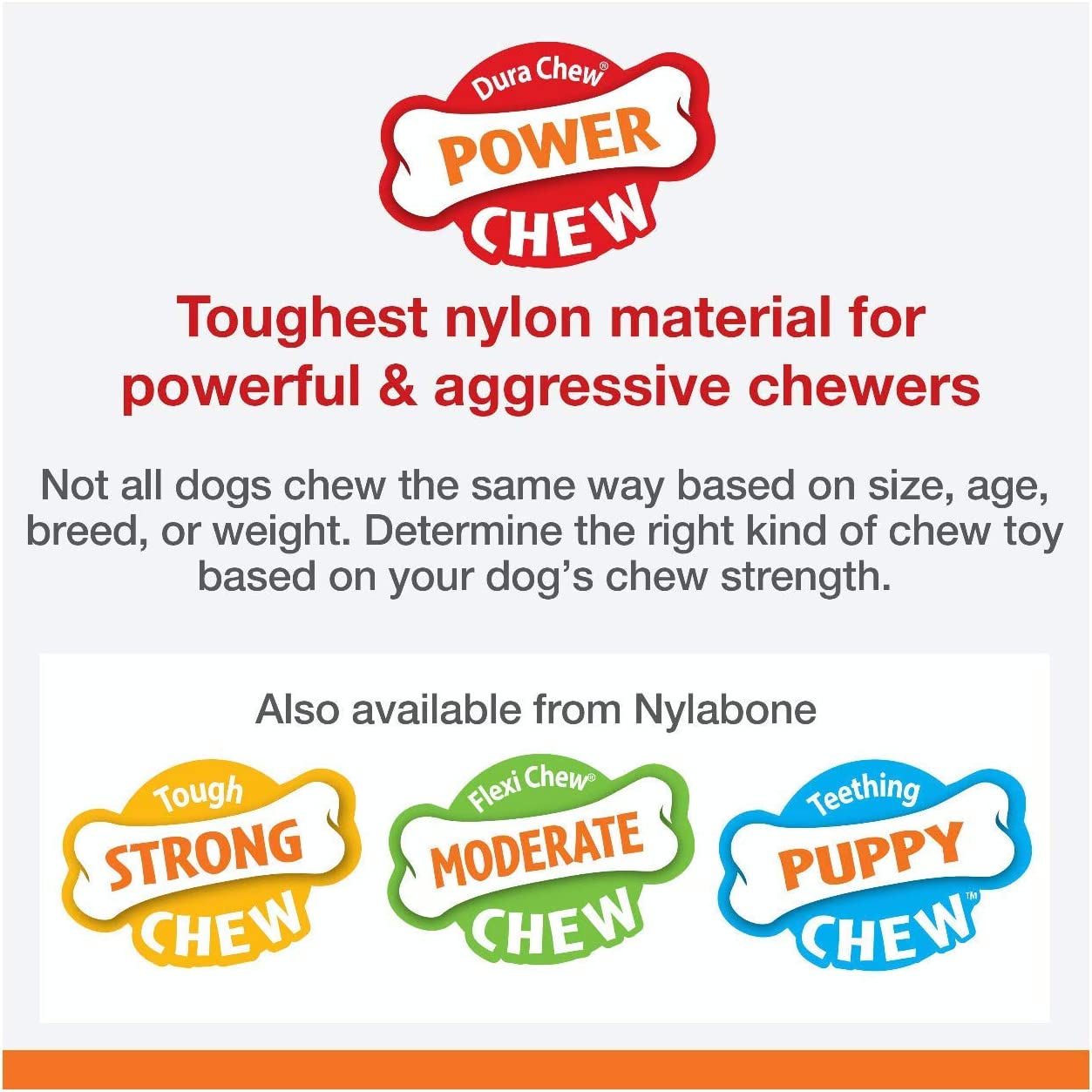 Nylabone Dura Chew Original Flavored Dental Dinosaur Chew Toy, Dinosaur Style Varies Small
