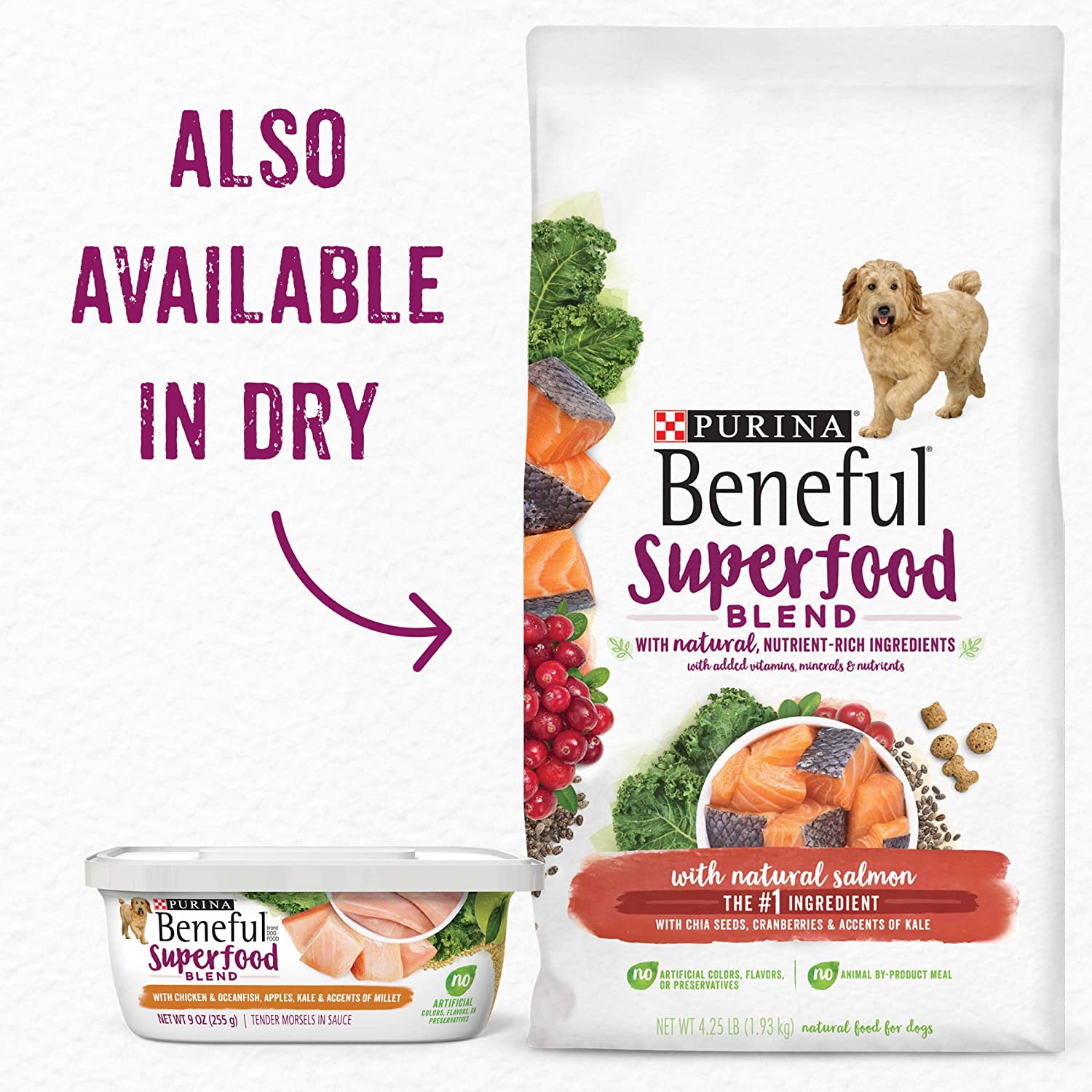 Purina Beneful Wet Dog Food, Superfood Blend Variety Pack - (4 Packs of 6) 9 oz. Tubs Variety Pack 9 Ounce (Pack of 24)