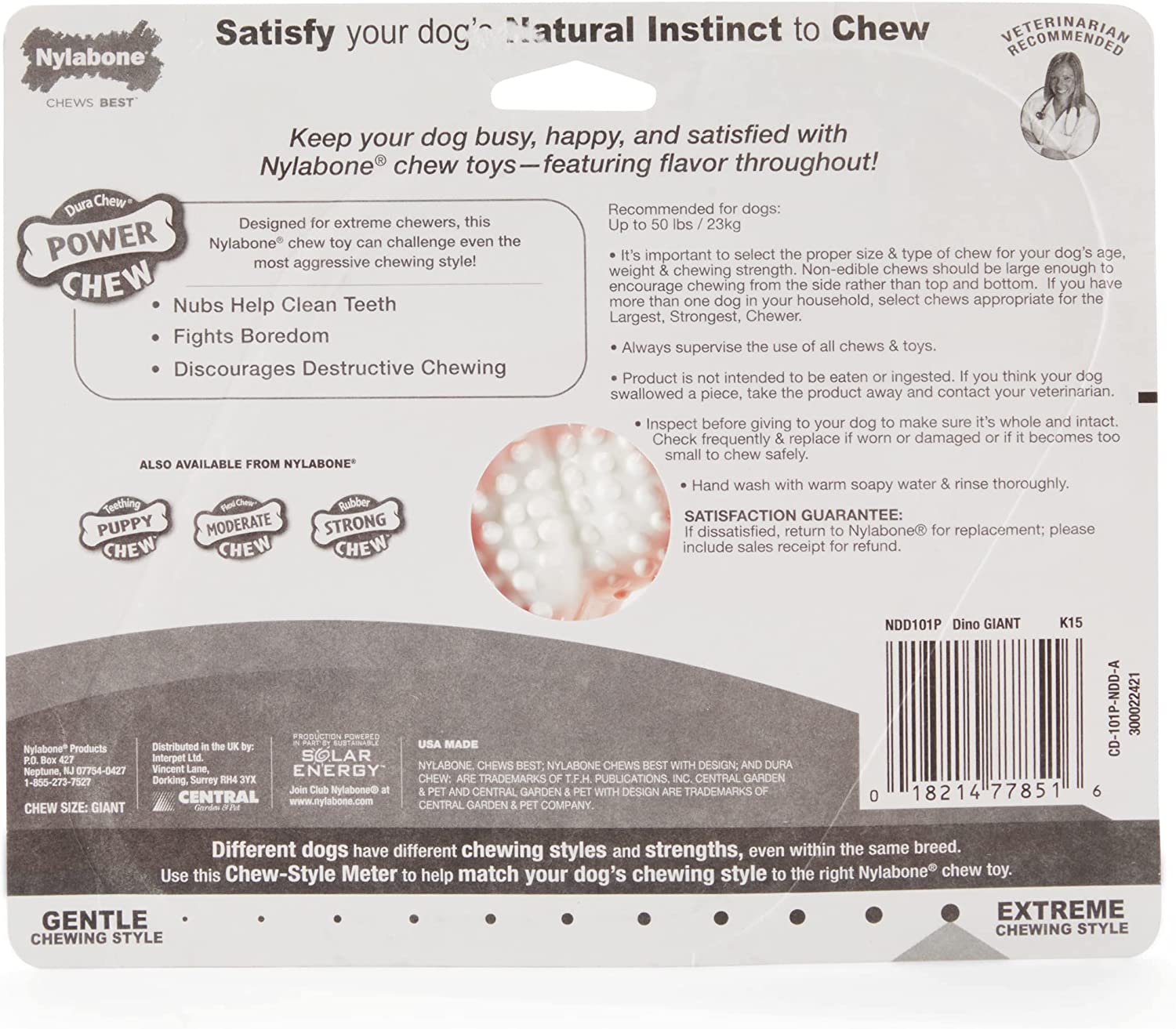 Nylabone Dura Chew Original Flavored Dental Dinosaur Chew Toy, Dinosaur Style Varies Small