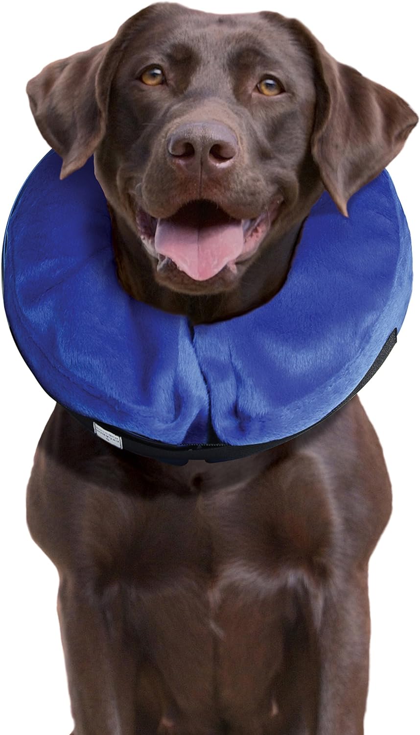 KONG - Cloud Collar - Inflatable Collar - For Injuries, Rashes and Post Surgery Recovery - For Large Dogs