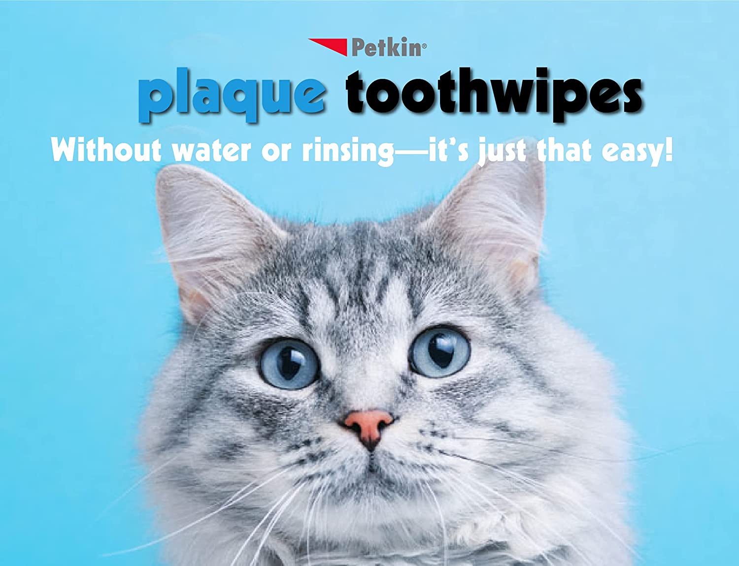 Petkin Plaque Toothwipes, Fresh Mint Wipes - Natural Formula Cleans Teeth, Gums & Freshens Breath - Convenient, & Easy to Use Oral Care Dental Pet Wipes for Dogs, Cats, Puppies & Kittens 2 Pack - 80 Wipes