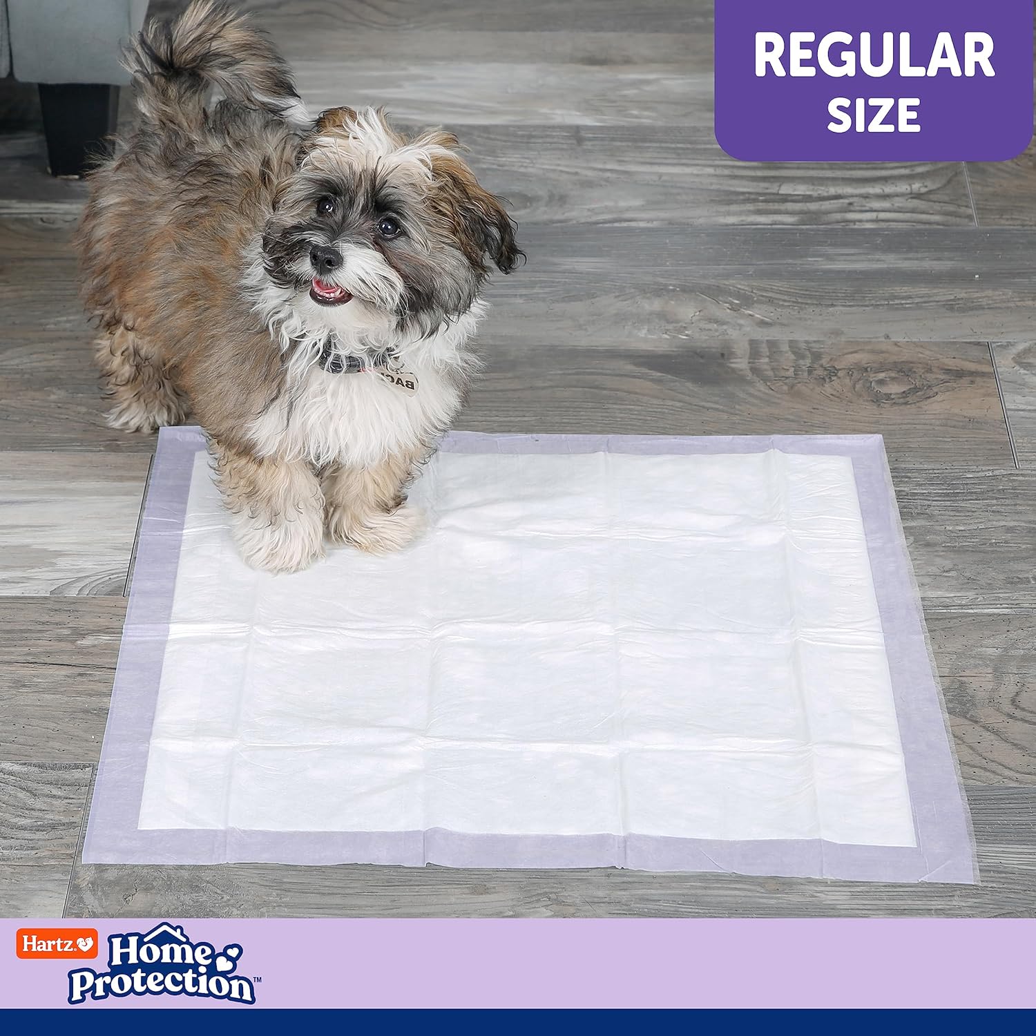 Hartz Home Protection Lavender Scented Dog Pads, 50 count, Super Absorbent & Won't Leak, Odor Eliminating