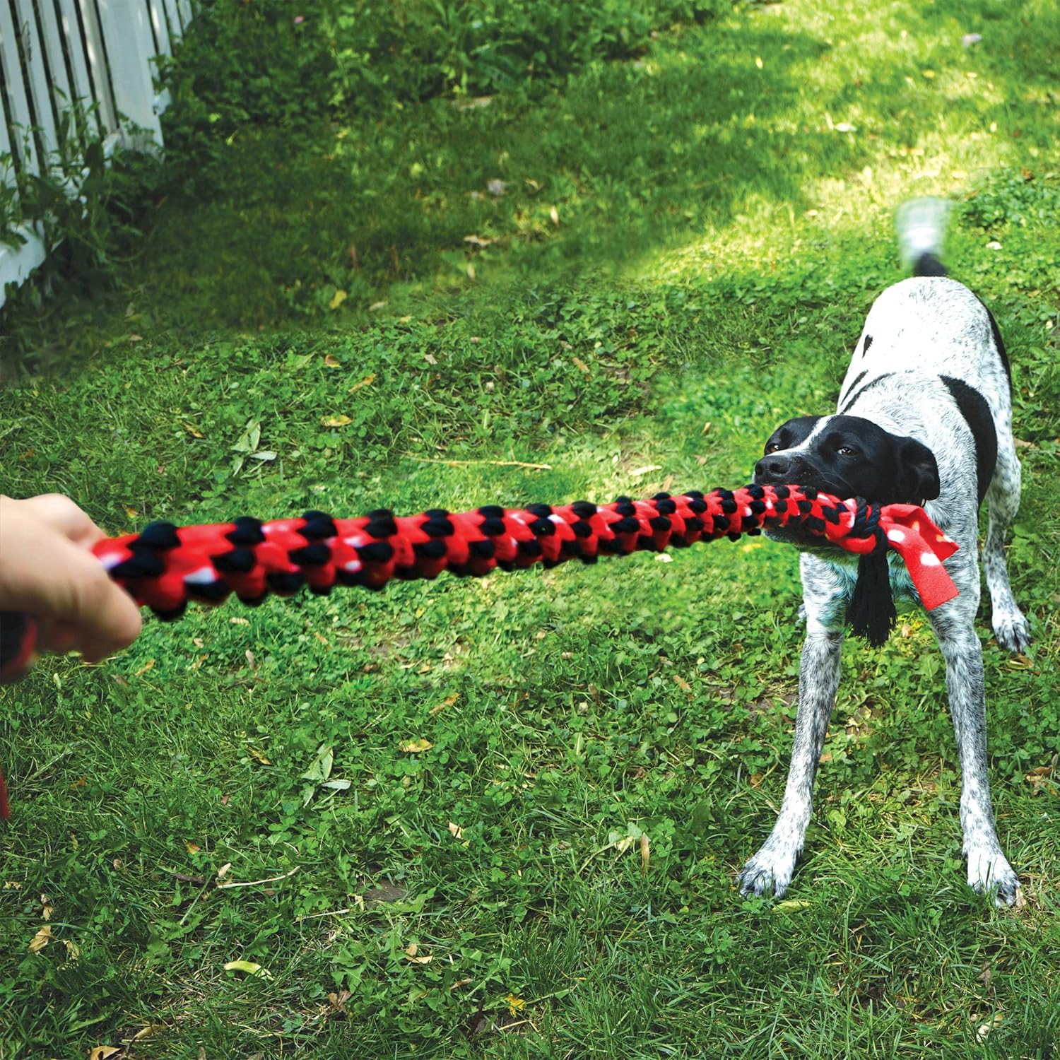 KONG Signature Rope Dual Knot Dog Toy 20IN